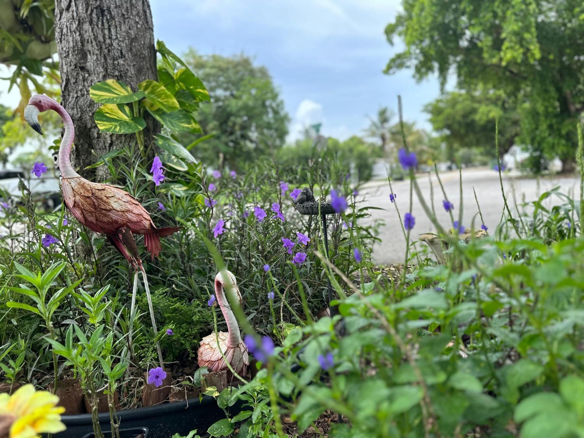 Flora'S Garden Apartment/Studio Βόρειο Μαϊάμι Εξωτερικό φωτογραφία